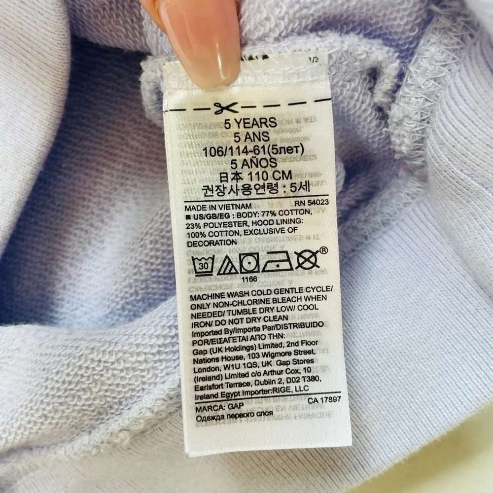 Gap Baby Toddler Lavender Purple Logo Long Sleeve Pullover Hoodie Size 5T